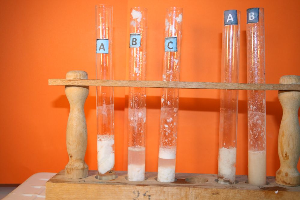gal/LES_CINQUIEMES/ACTIVITE DIGESTION IN VITRO/Groupe_04/Groupe04_T_01h20min/Groupe04_T_01h_20min_4.JPG